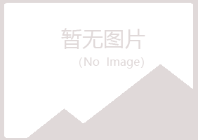 五大连池从灵金属有限公司